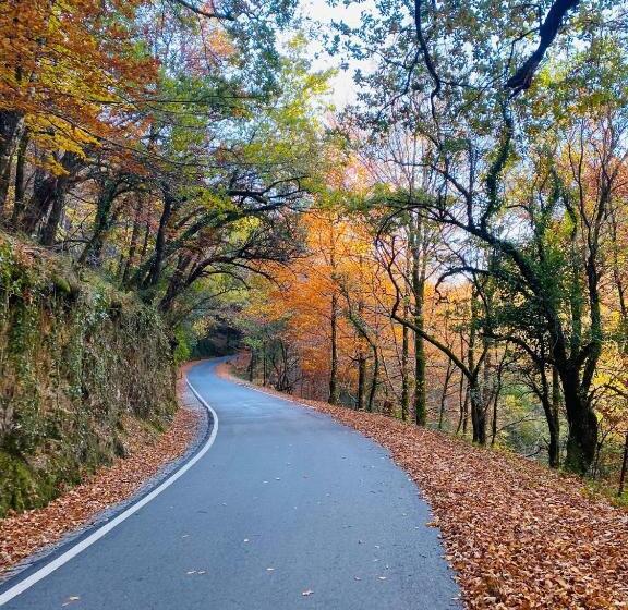 Av Apartamentos Lobios