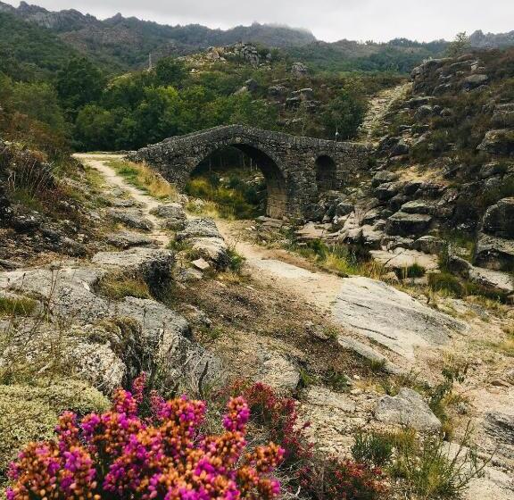 Av Apartamentos Lobios