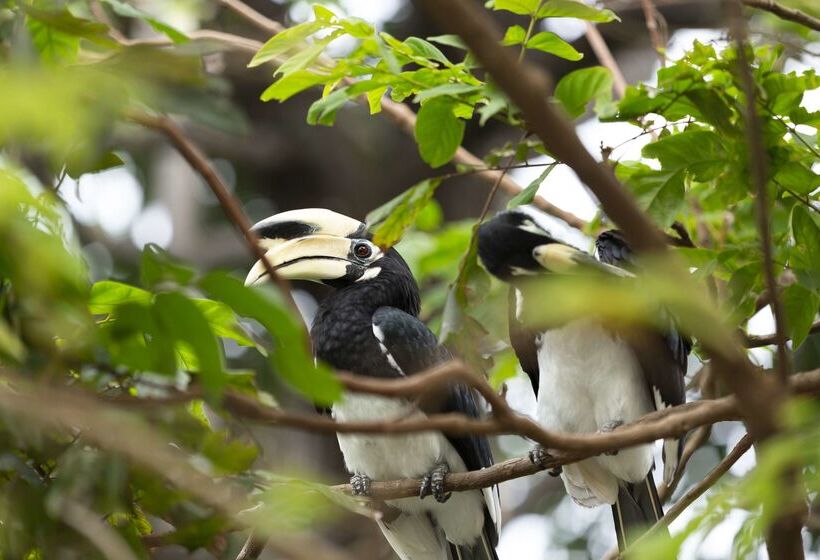 Avani Plus Koh Lanta Krabi Resort