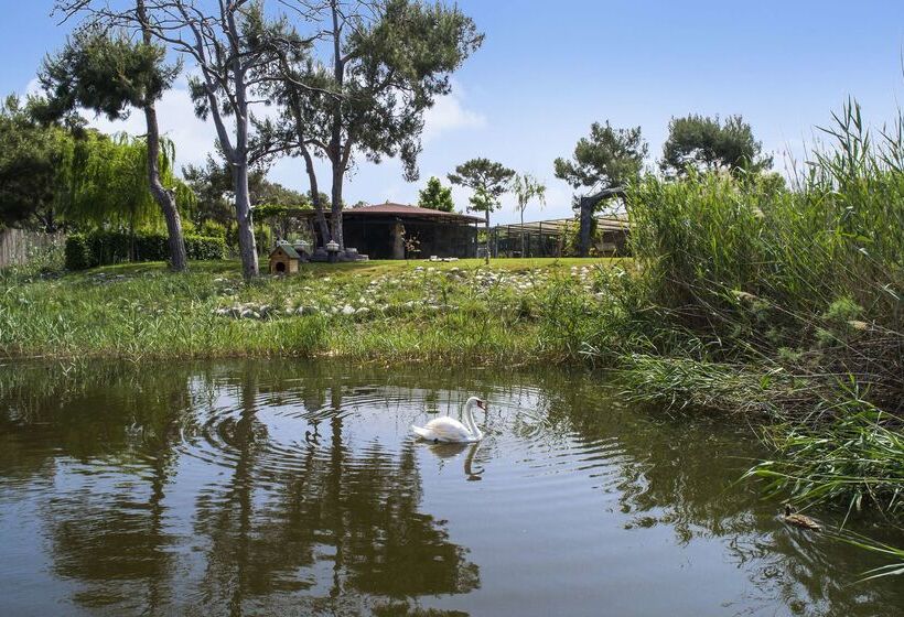 Hilton Dalaman Sarigerme Resort & Spa