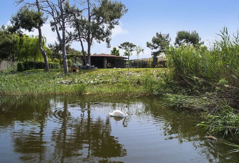 Hilton Dalaman Sarigerme Resort & Spa