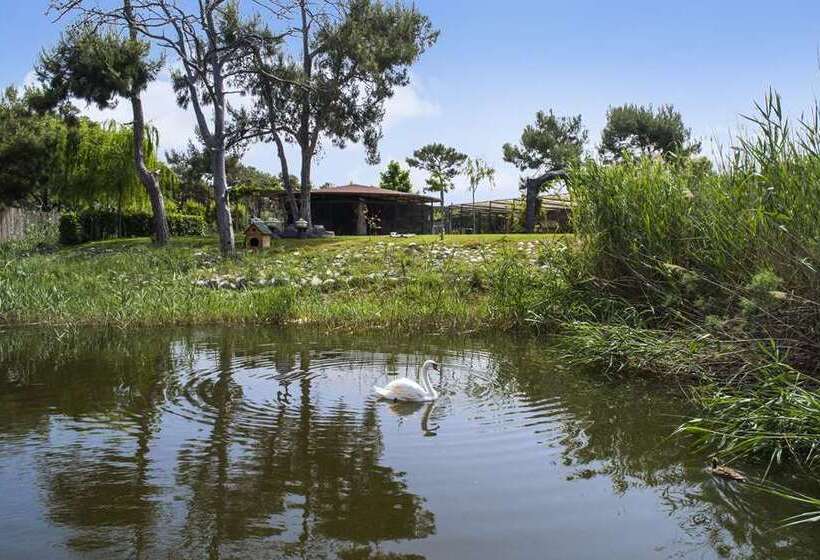 Hilton Dalaman Sarigerme Resort & Spa