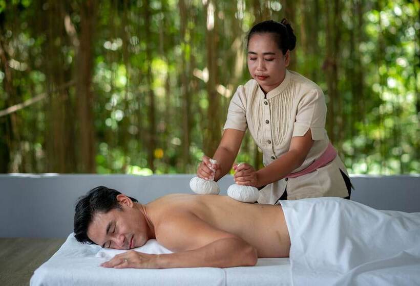 בית מלון כפרי Absolute Sanctuary