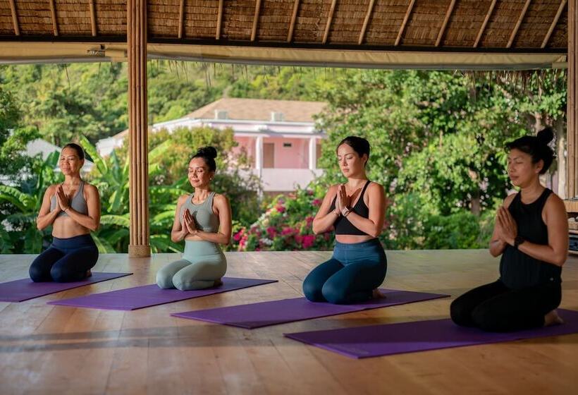 בית מלון כפרי Absolute Sanctuary