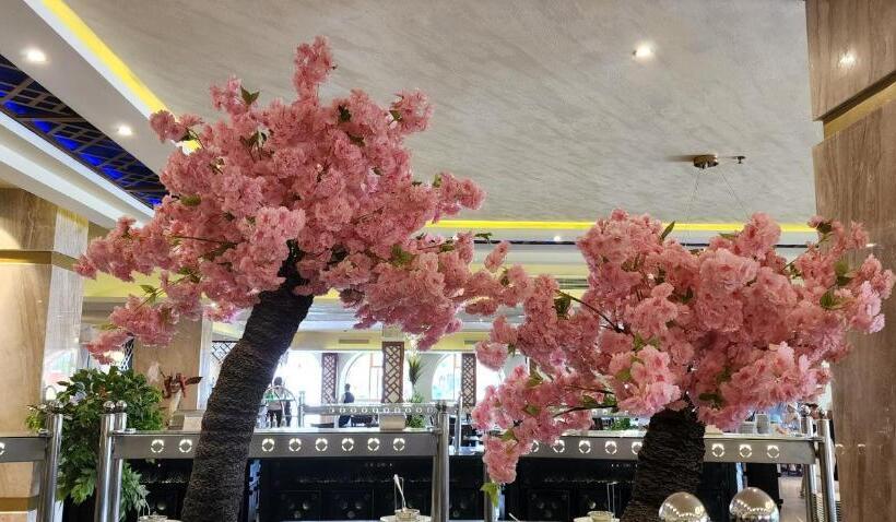 ホテル Aladdin Beach Resort