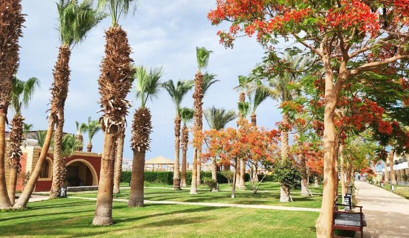 ホテル Aladdin Beach Resort