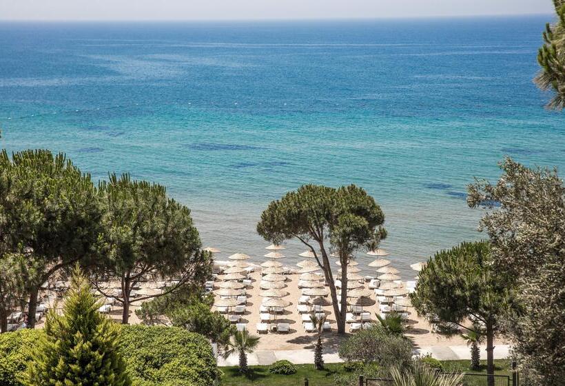 فندق Aria Claros Beach & Spa Resort – All Inclusive