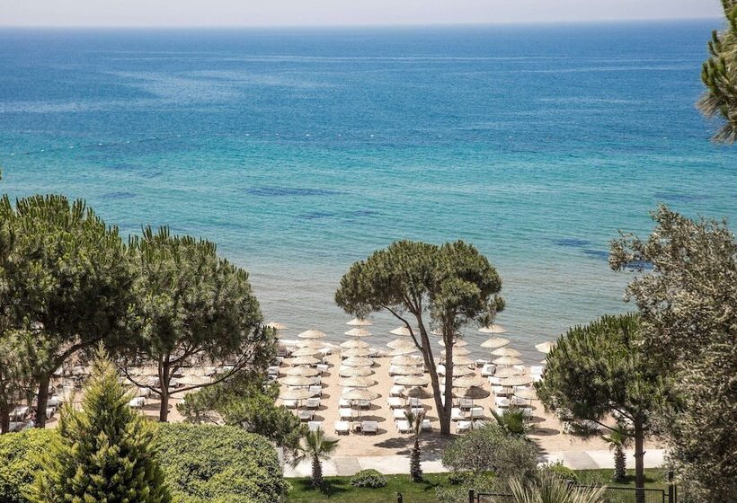 فندق Aria Claros Beach & Spa Resort – All Inclusive