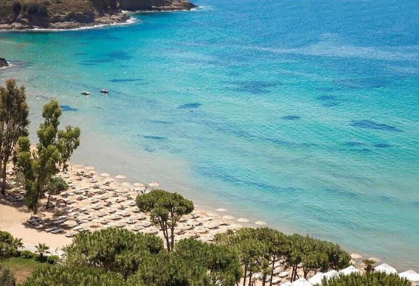 فندق Aria Claros Beach & Spa Resort – All Inclusive