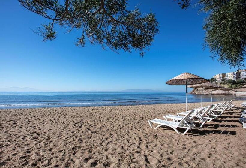 فندق Aria Claros Beach & Spa Resort – All Inclusive