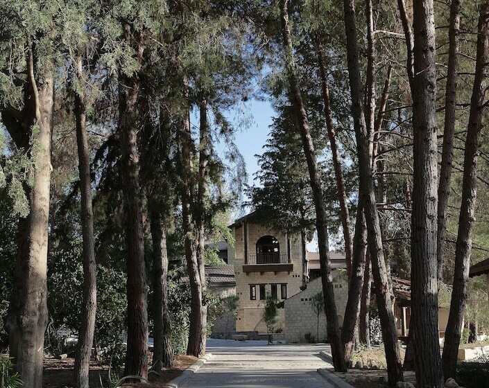 酒店 Secret Forest