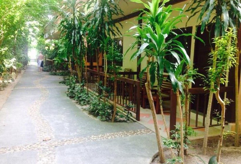 Отель Samui Beach Hostel