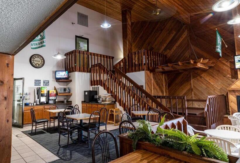 فندق Bearcat Inn And Suites