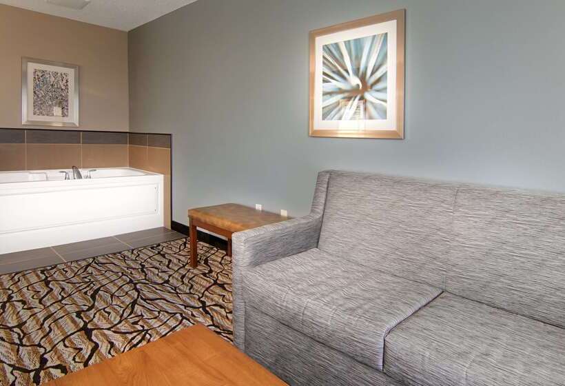 בית מלון כפרי Best Western Plus Blaine At The National Sports Center