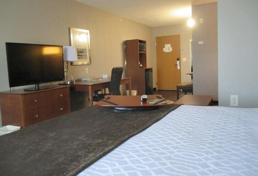 בית מלון כפרי Best Western Plus Blaine At The National Sports Center