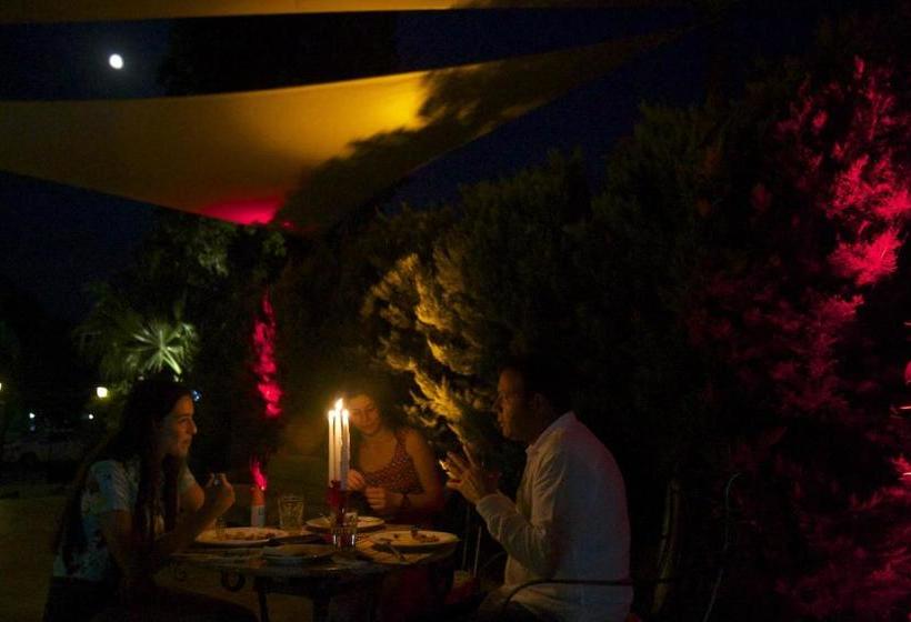 فندق Bodrum Sofabed