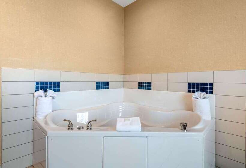 Cambria Hotel Akron   Canton Airport