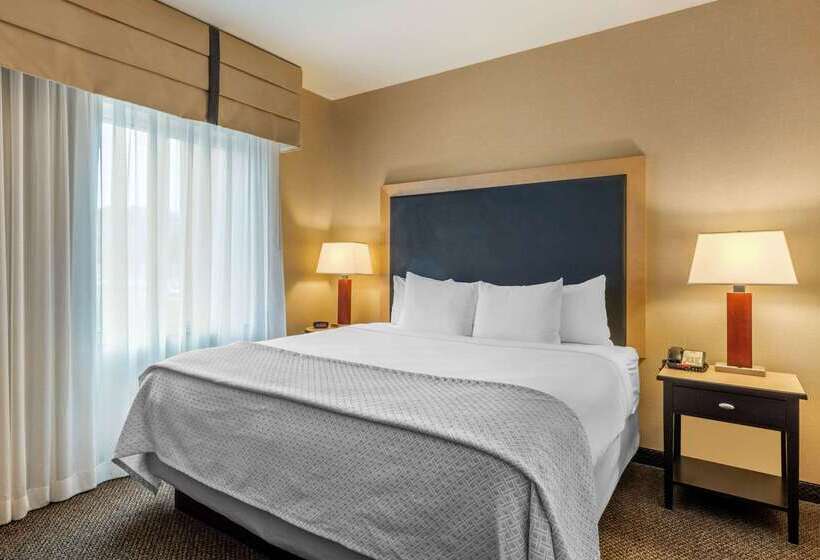 Cambria Hotel Akron   Canton Airport