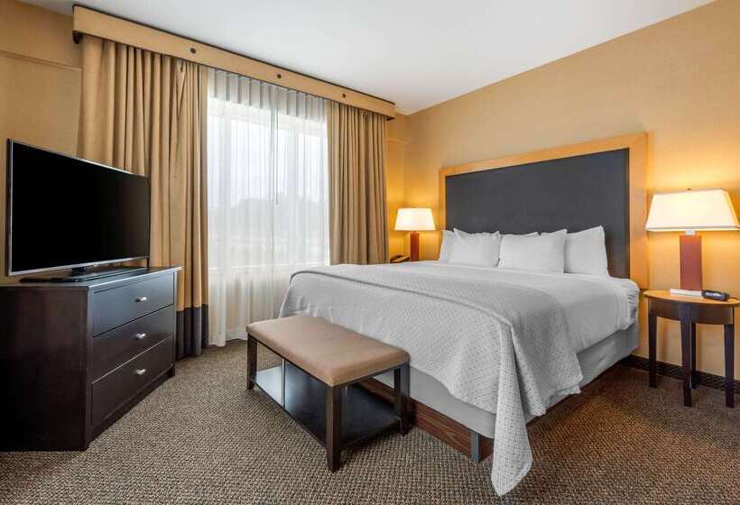 Cambria Hotel Akron   Canton Airport