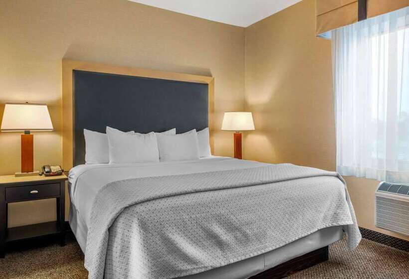 Cambria Hotel Akron   Canton Airport