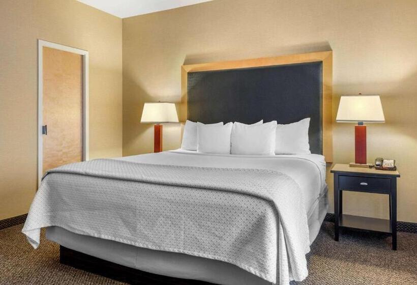 Cambria Hotel Akron   Canton Airport