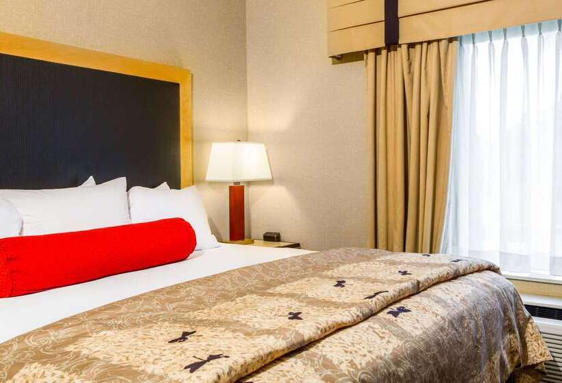 Cambria Hotel Raleigh Durham Airport