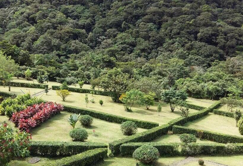 Hotel Celeste Mountain Lodge