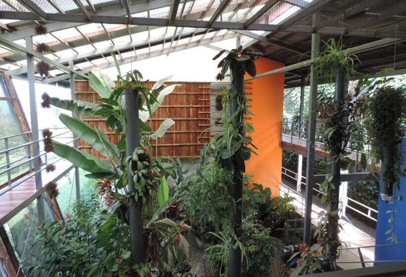 Hotel Celeste Mountain Lodge