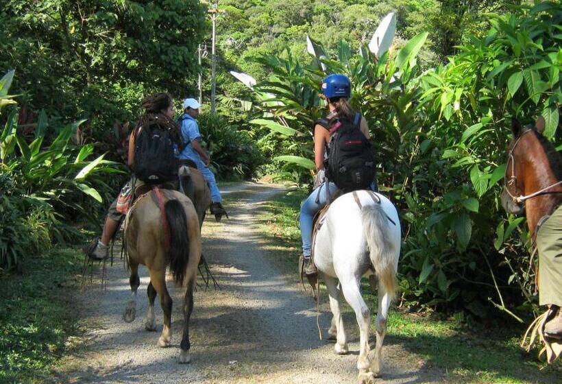 Hotel Celeste Mountain Lodge