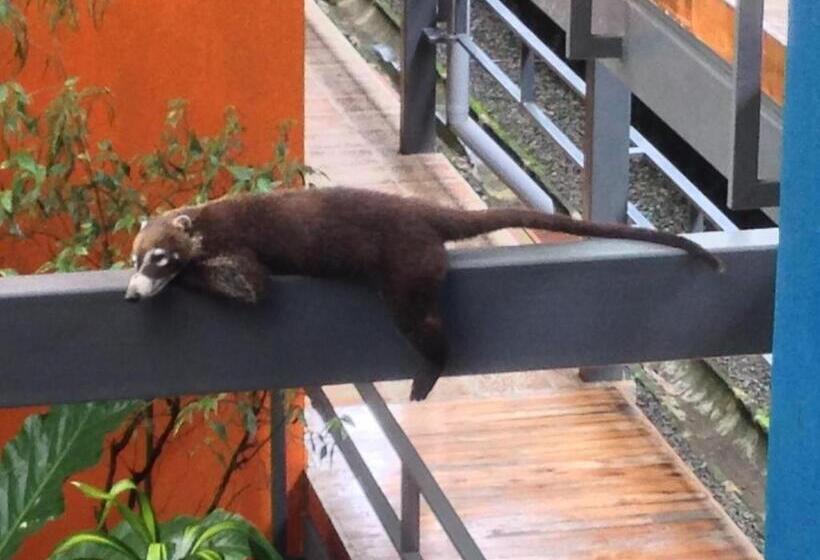 Hotel Celeste Mountain Lodge