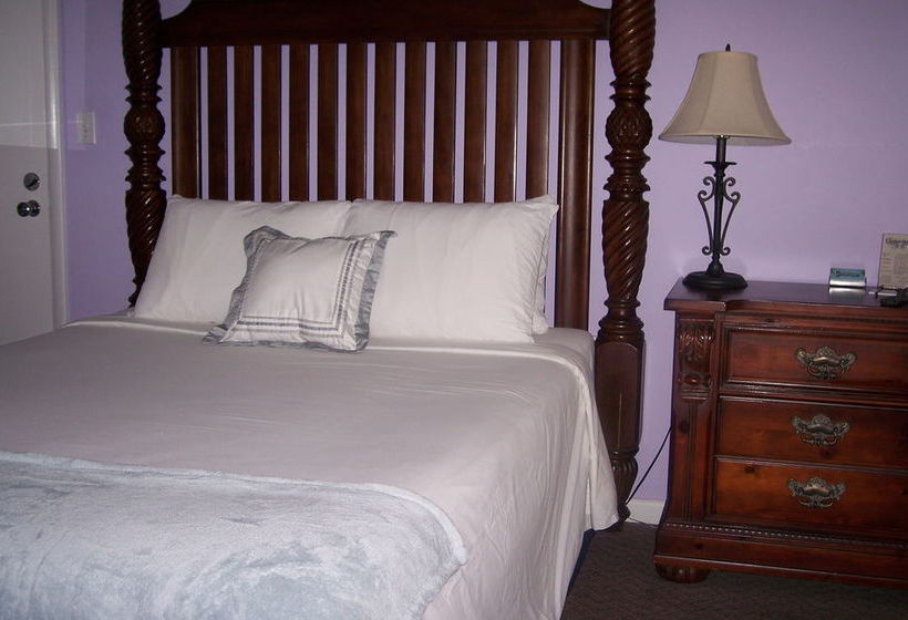 ホテル Cheston House  Clothing Optional All Male Guesthouse