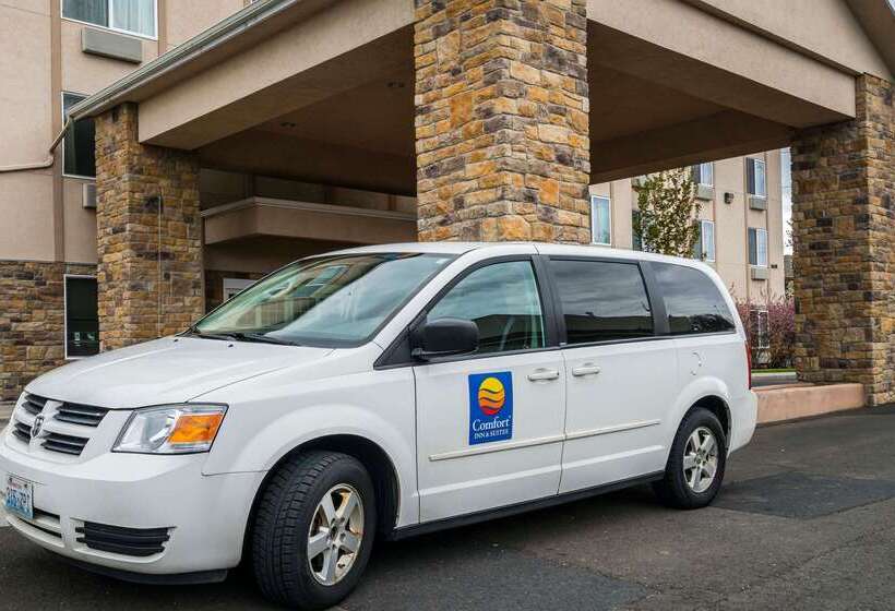 فندق Comfort Inn & Suites