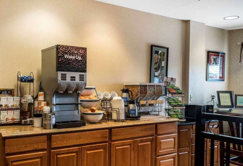 فندق Comfort Inn & Suites