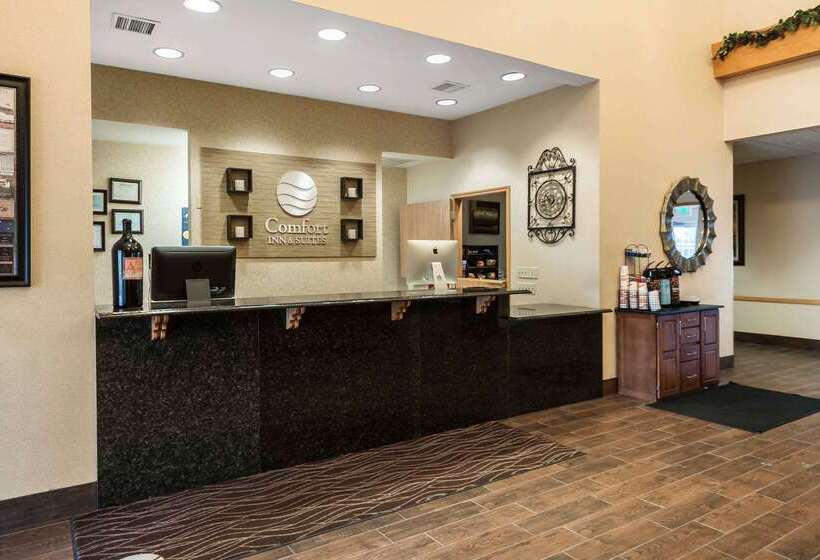 فندق Comfort Inn & Suites