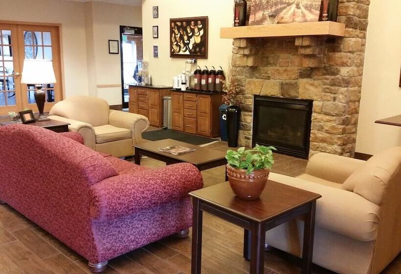 فندق Comfort Inn & Suites