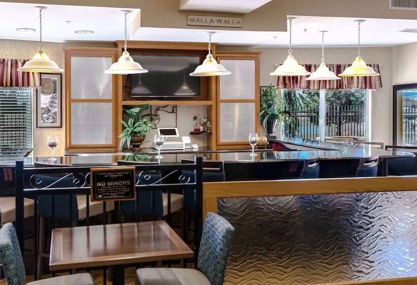 فندق Comfort Inn & Suites