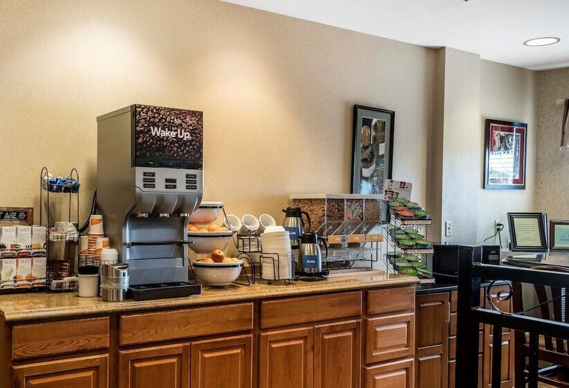 فندق Comfort Inn & Suites