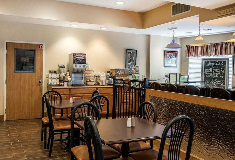 فندق Comfort Inn & Suites