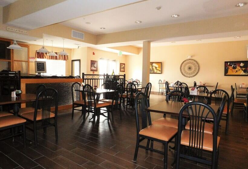 فندق Comfort Inn & Suites