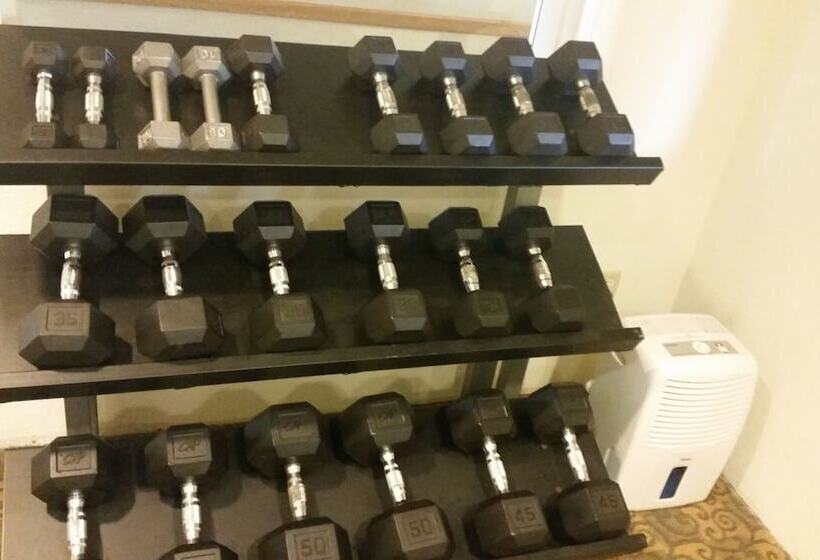 فندق Comfort Inn & Suites