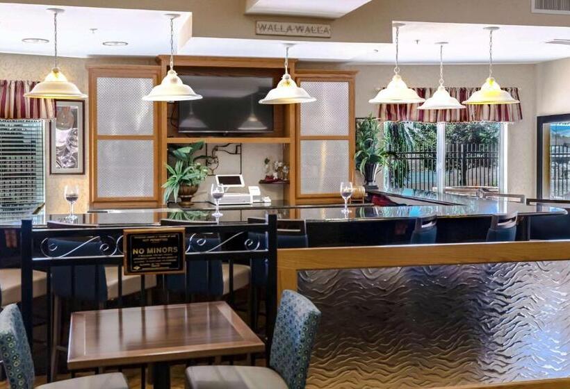 فندق Comfort Inn & Suites