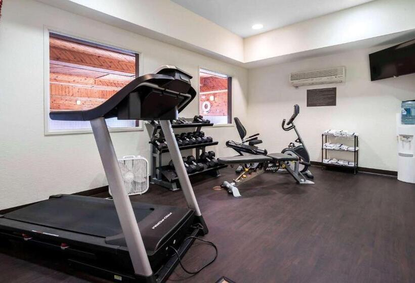 فندق Comfort Inn & Suites