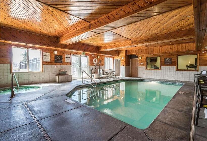 فندق Comfort Inn & Suites