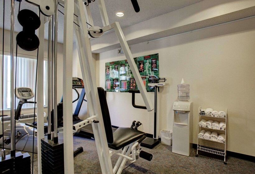 בית מלון כפרי Comfort Inn & Suites