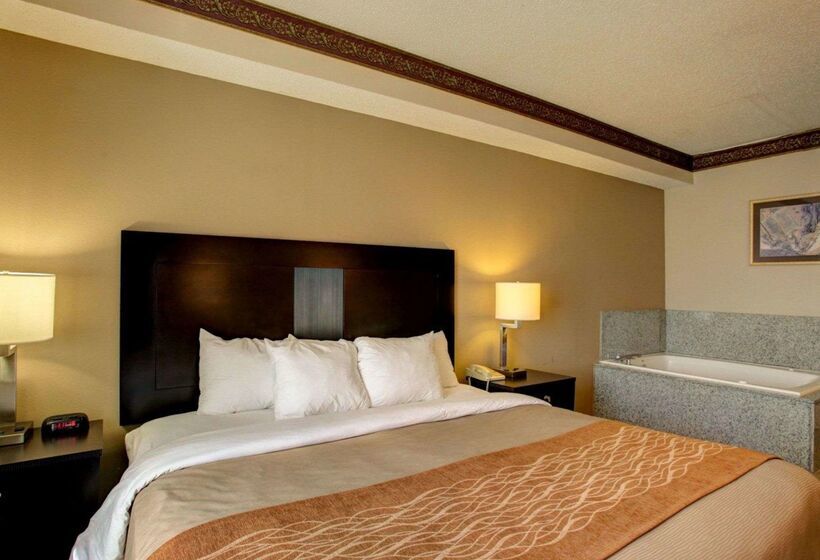 בית מלון כפרי Comfort Inn & Suites