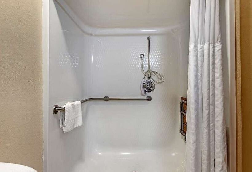 فندق Comfort Suites Auburn Hills Detroit