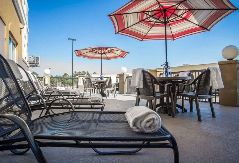 ホテル Comfort Suites Columbia At Harbison