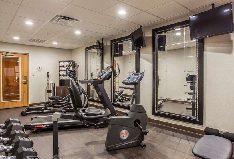 ホテル Comfort Suites Columbia At Harbison