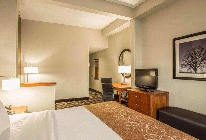 ホテル Comfort Suites Columbia At Harbison