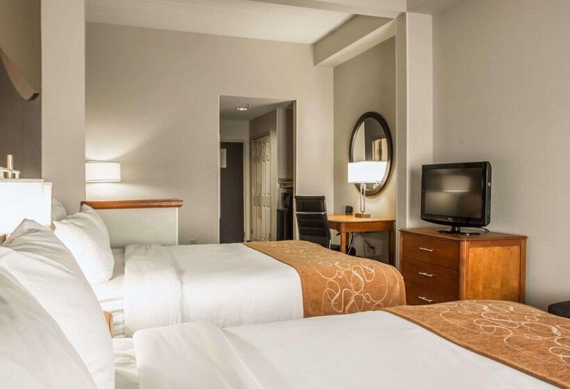 ホテル Comfort Suites Columbia At Harbison